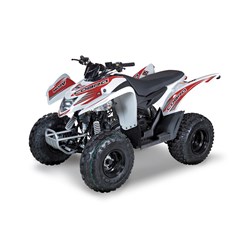 Aeon Cobra 50 2015