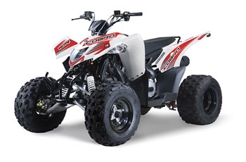 Aeon Cobra S 300 2015 - Bild 2