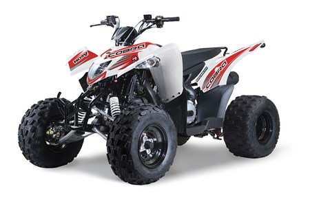 Aeon Cobra S 300 2015