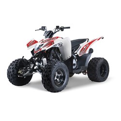Aeon Cobra S 300 2015