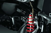 Can-Am DS 450 2015 - Bild 6