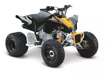 Can-Am DS 90 2015