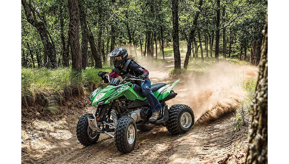 Arctic Cat 300 DVX 2015 Arctic Cat 300 DVX 2015