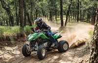 Arctic Cat 300 DVX 2015 - Bild 2 Arctic Cat 300 DVX 2015 - Bild 2