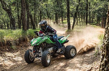 Arctic Cat 300 DVX 2015 - Bild 2 Arctic Cat 300 DVX 2015 - Bild 2
