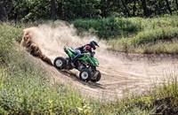 Arctic Cat 300 DVX 2015 - Bild 3 Arctic Cat 300 DVX 2015 - Bild 3