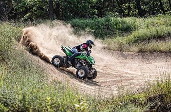Arctic Cat 300 DVX 2015 - Bild 3 Arctic Cat 300 DVX 2015 - Bild 3