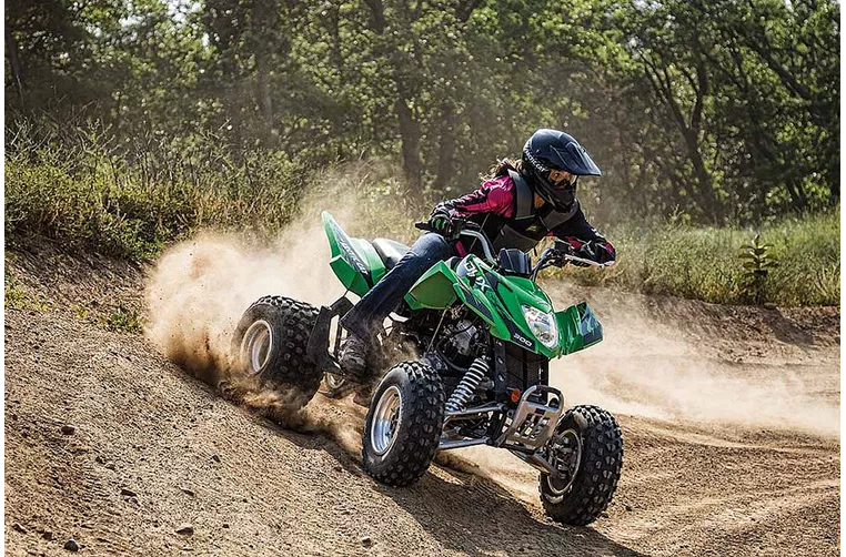 Arctic Cat 300 DVX 2015 Arctic Cat 300 DVX 2015