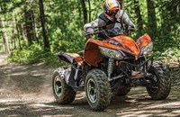 Arctic Cat XC 450i 2015 - Bild 10