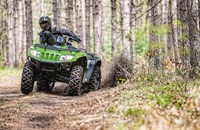 Arctic Cat 1000i XT 2015 - Bild 2