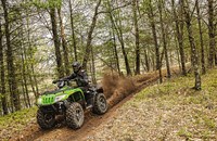 Arctic Cat 1000i XT 2015 - Bild 4