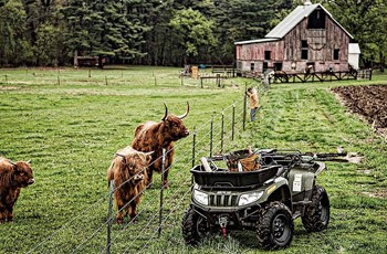 Arctic Cat 700 Diesel 2015 - Bild 14 Arctic Cat 700 Diesel 2015 - Bild 14
