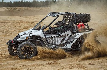 Arctic Cat Wildcat 1000i X 2015 - Bild 14
