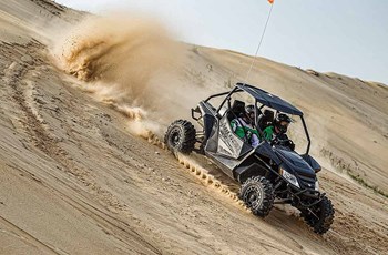 Arctic Cat Wildcat 1000i X LTD 2015 - Bild 2