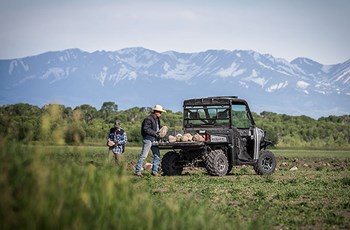 Polaris Ranger 570 Full Size 2015 - Bild 16