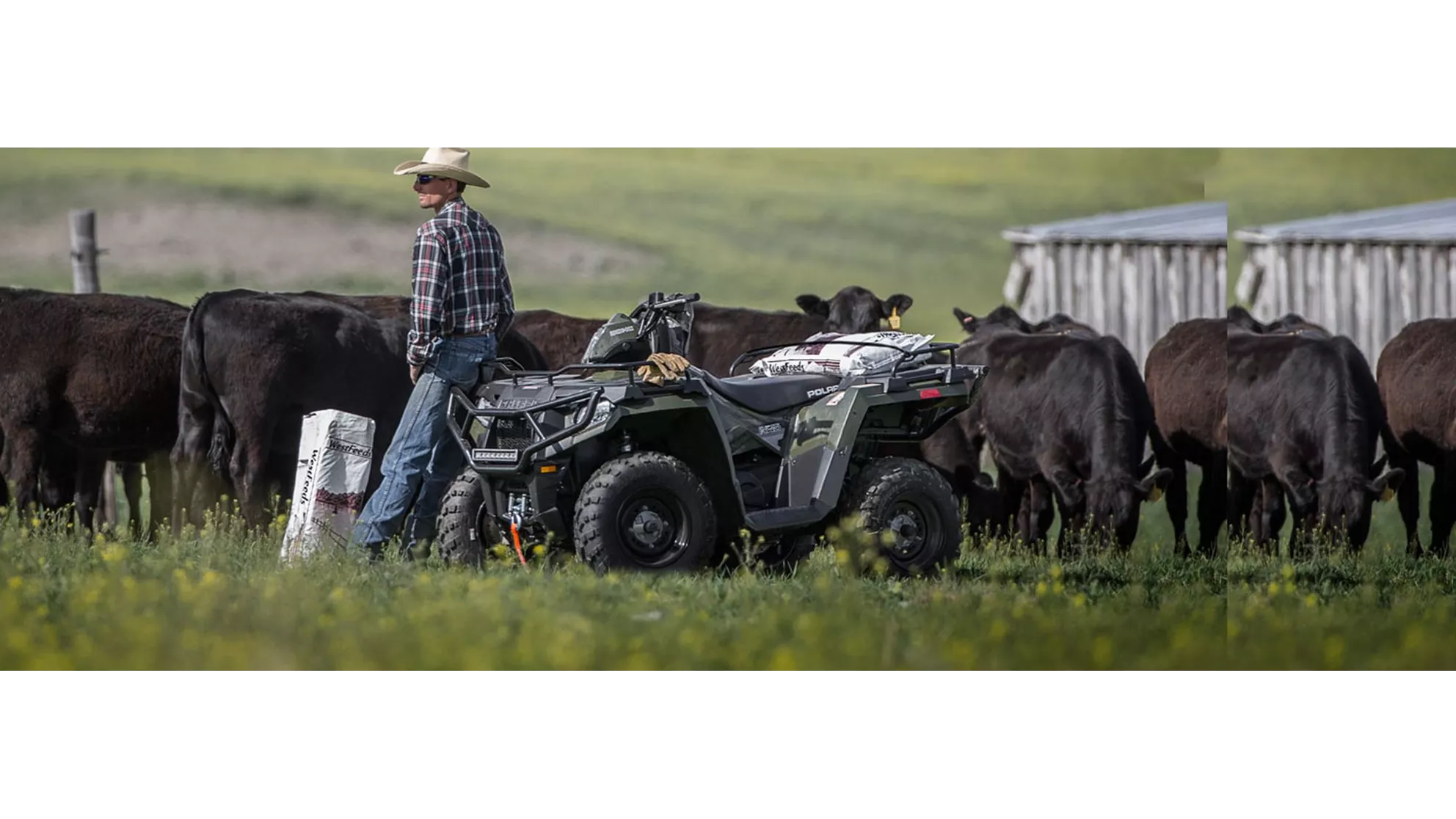 Polaris Sportsman ETX 325 - Image 6 Polaris Sportsman ETX 325 - Image 6