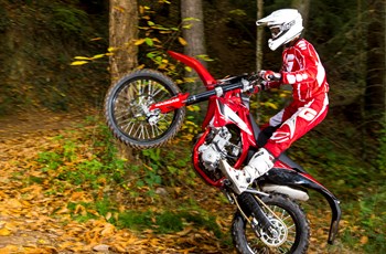 GASGAS EC 250 Cami 2015 - Bild 3