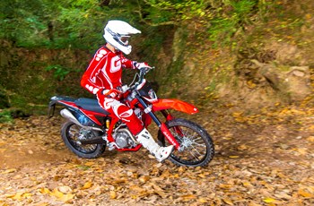 GASGAS EC 250 Cami 2015 - Bild 17