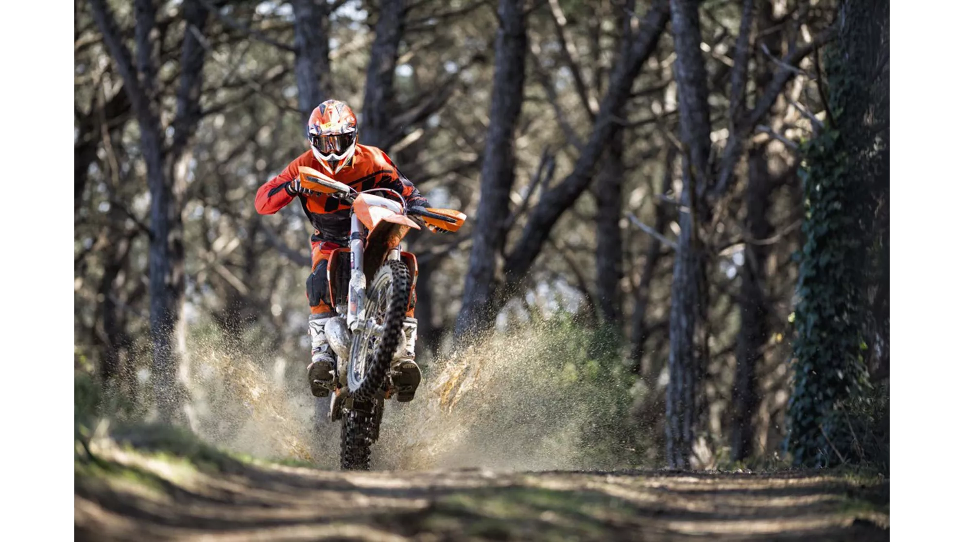 KTM 125 EXC - Slika 21 KTM 125 EXC - Slika 21
