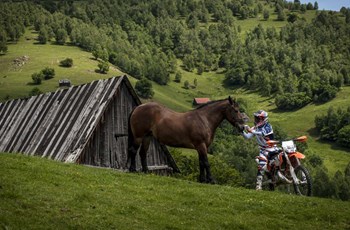 KTM 250 EXC 2016 - Bild 27 KTM 250 EXC 2016 - Bild 27