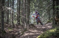 KTM 500 EXC 2016 - Bild 12 KTM 500 EXC 2016 - Bild 12