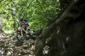 KTM 450 EXC 2016 - Bild 19 KTM 450 EXC 2016 - Bild 19