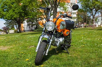 Skyteam Gorilla 50 2016 - Bild 4