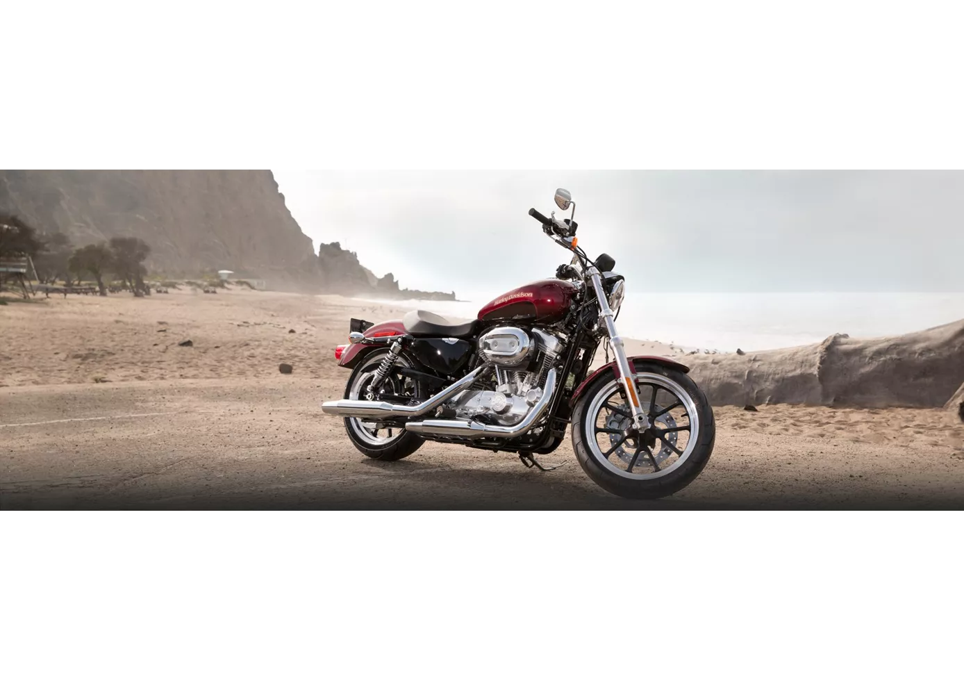 Harley-Davidson Sportster XL 883 L SuperLow 2016 Harley-Davidson Sportster XL 883 L SuperLow 2016