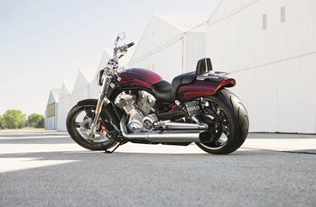 Harley-Davidson V-Rod Muscle VRSCF 2016 - Bild 6