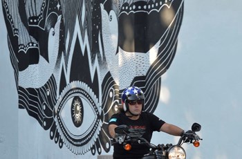 Harley-Davidson Softail Fat Boy S 2016 - Bild 5 Harley-Davidson Softail Fat Boy S 2016 - Bild 5