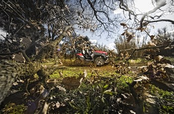 CFMOTO ZForce 800 EX V2 EFI 4x4 2016 - Bild 6 CFMOTO ZForce 800 EX V2 EFI 4x4 2016 - Bild 6