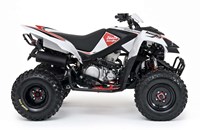 Beeline Bestia 5.5 Supermoto 2016 - Bild 2 Beeline Bestia 5.5 Supermoto 2016 - Bild 2
