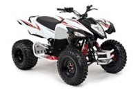 Beeline Bestia 3.3 Offroad 2016 - Bild 4