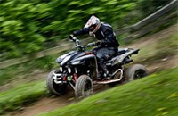 Beeline Bestia 5.5 Offroad 2016 - Bild 2