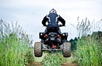 Beeline Bestia 5.5 Offroad 2016 - Bild 3