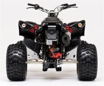 Beeline Bestia 5.5 Offroad 2016 - Bild 7
