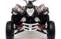 Beeline Bestia 5.5 Offroad 2016 - Bild 8