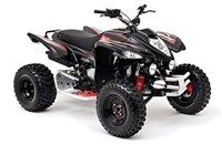 Beeline Bestia 5.5 Offroad 2016 - Bild 1