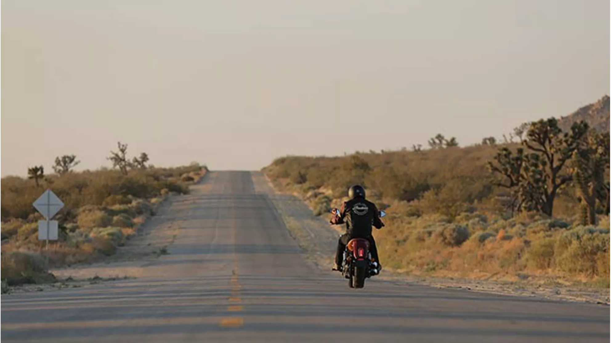 Indian Scout - Image 9 Indian Scout - Image 9
