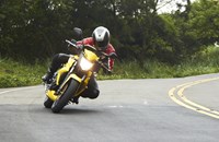 Sym Wolf SB 250 Ni 2016 - Bild 10