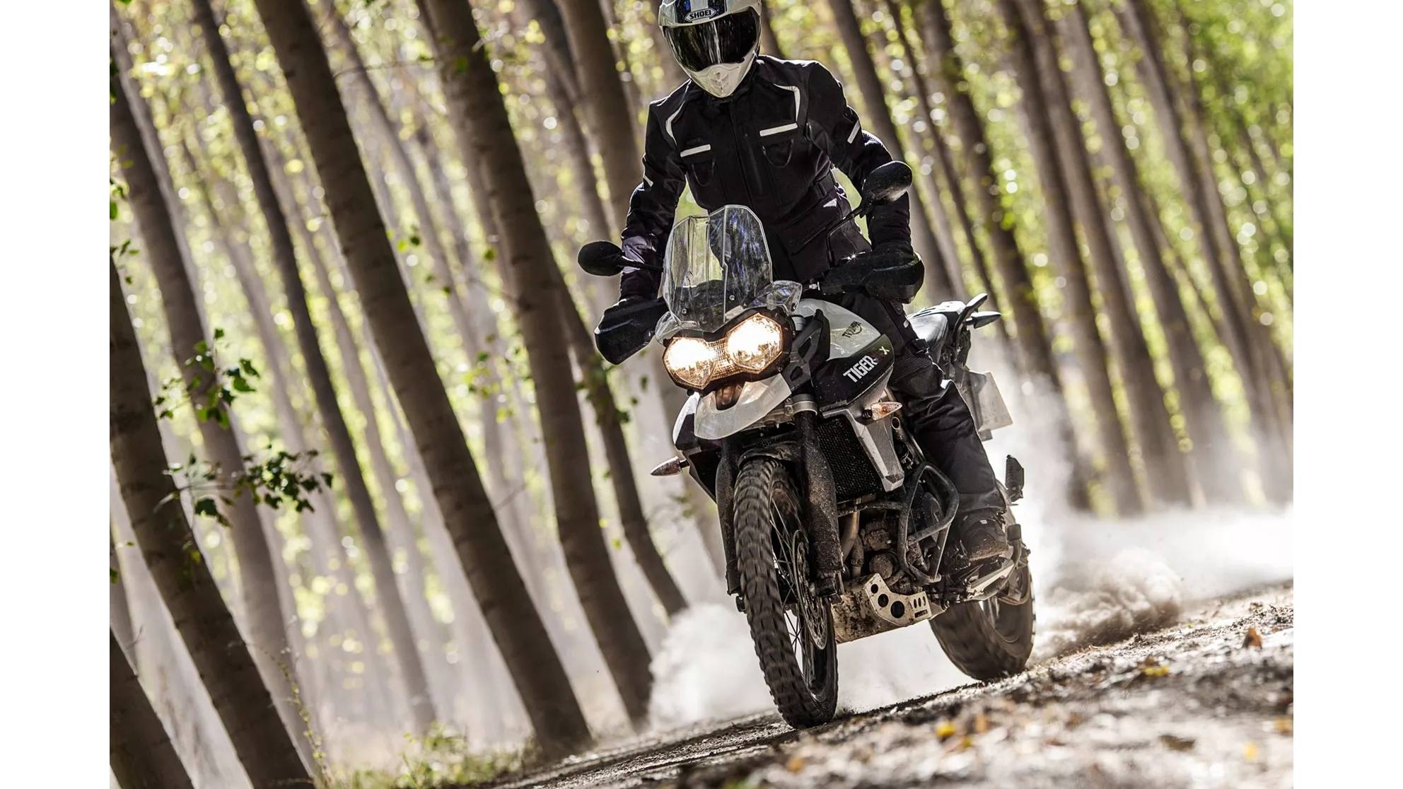 Triumph Tiger 800 XCx - Image 1 Triumph Tiger 800 XCx - Image 1