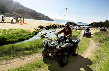 Yamaha Grizzly 550 2016 - Bild 2