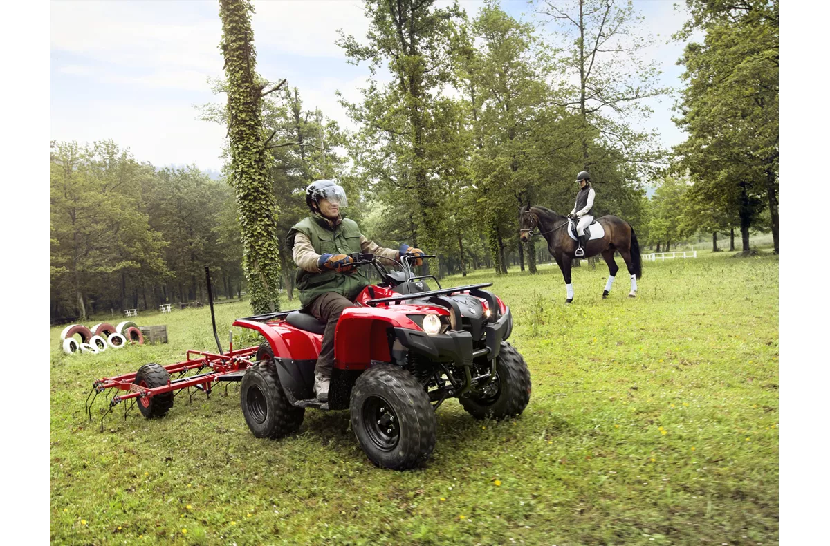 Yamaha Grizzly 300 Yamaha Grizzly 300