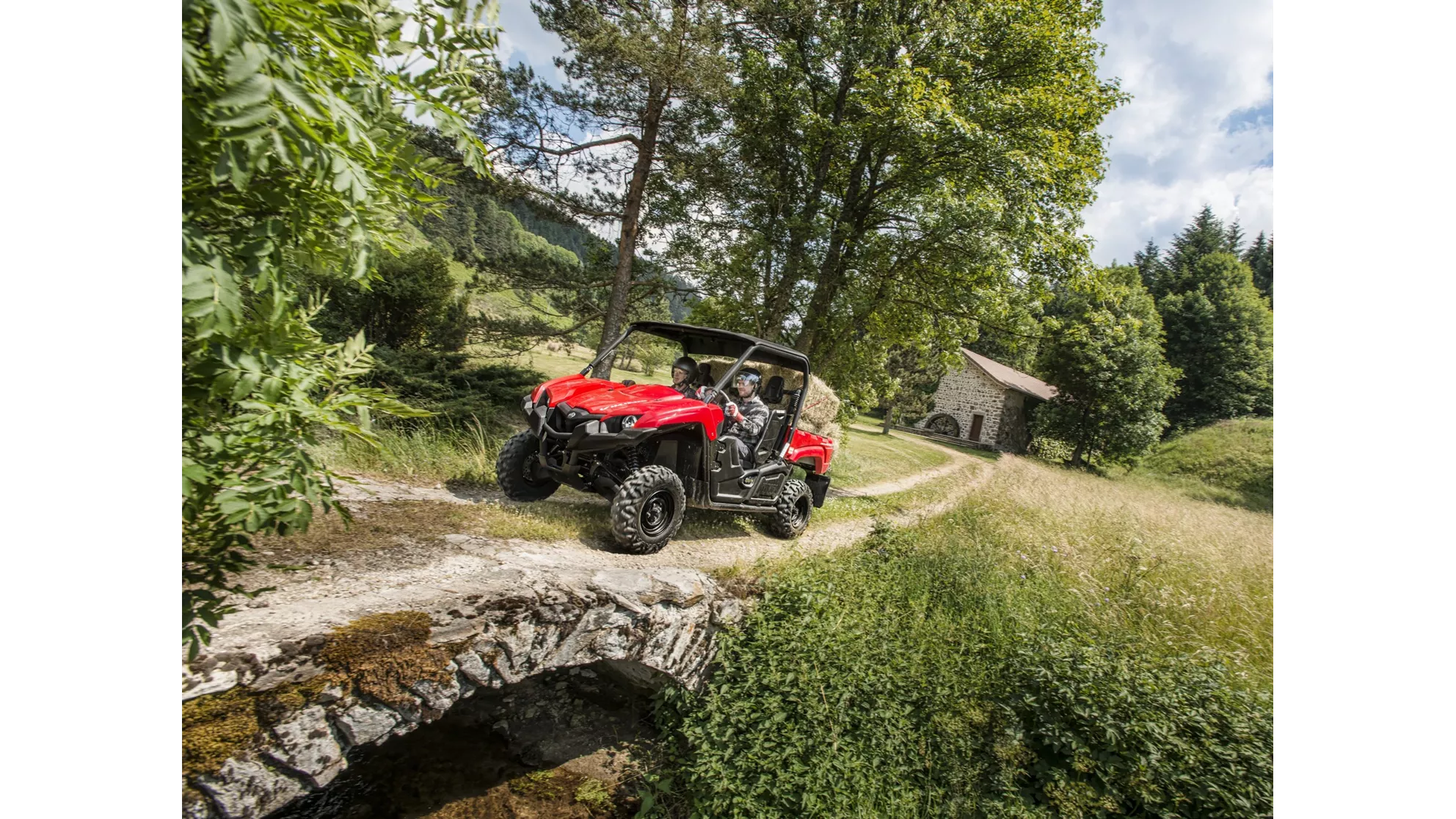 Yamaha Viking - Image 10 Yamaha Viking - Image 10