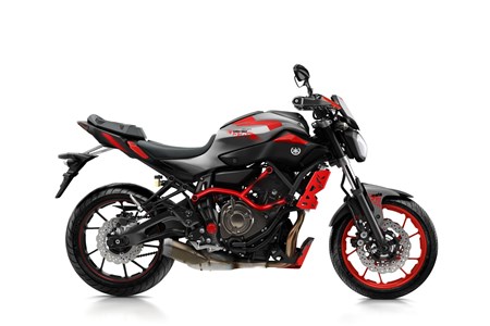 Yamaha MT-07 Moto Cage 2016 Yamaha MT-07 Moto Cage 2016