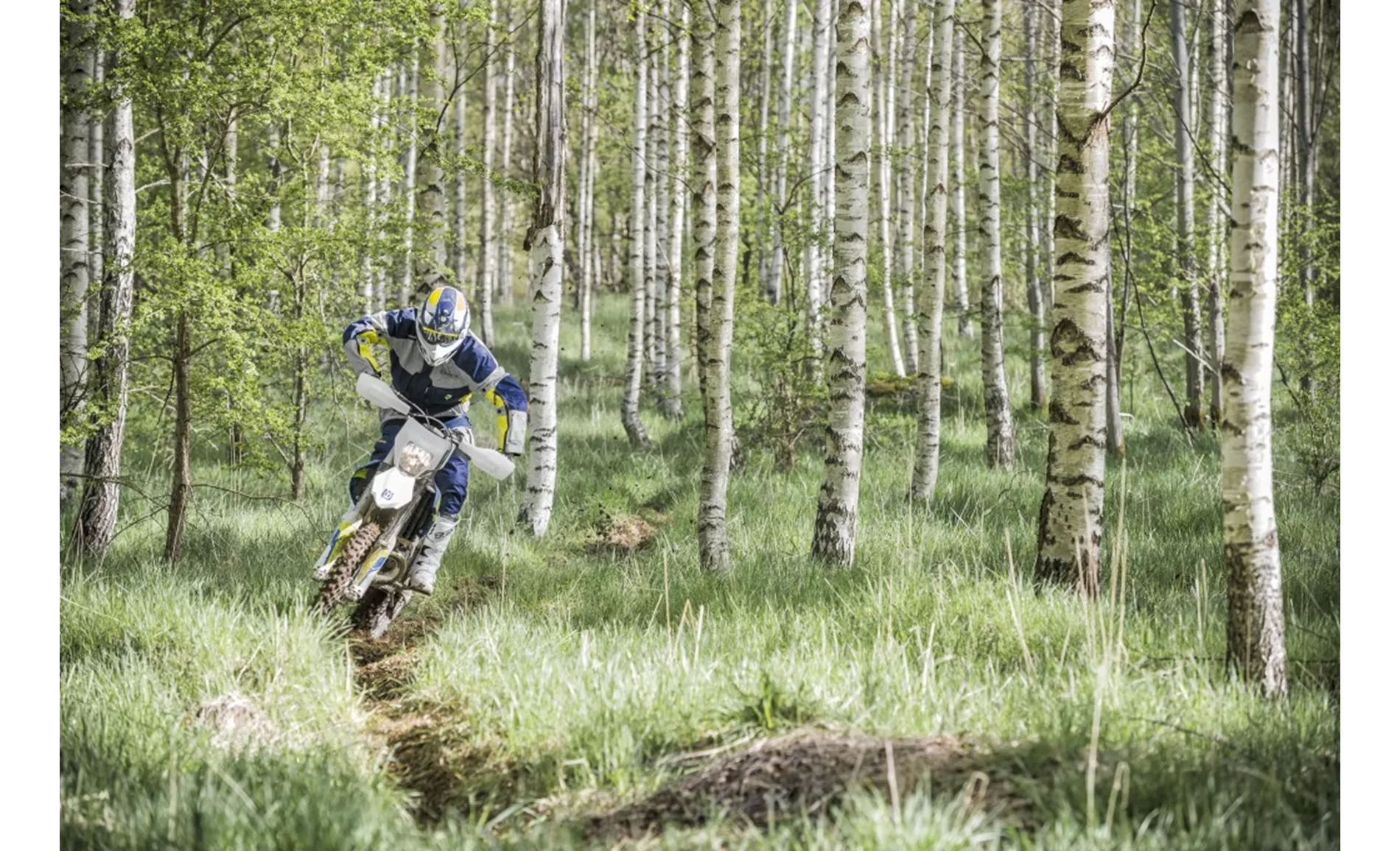 Husqvarna TE 250 2016 Husqvarna TE 250 2016
