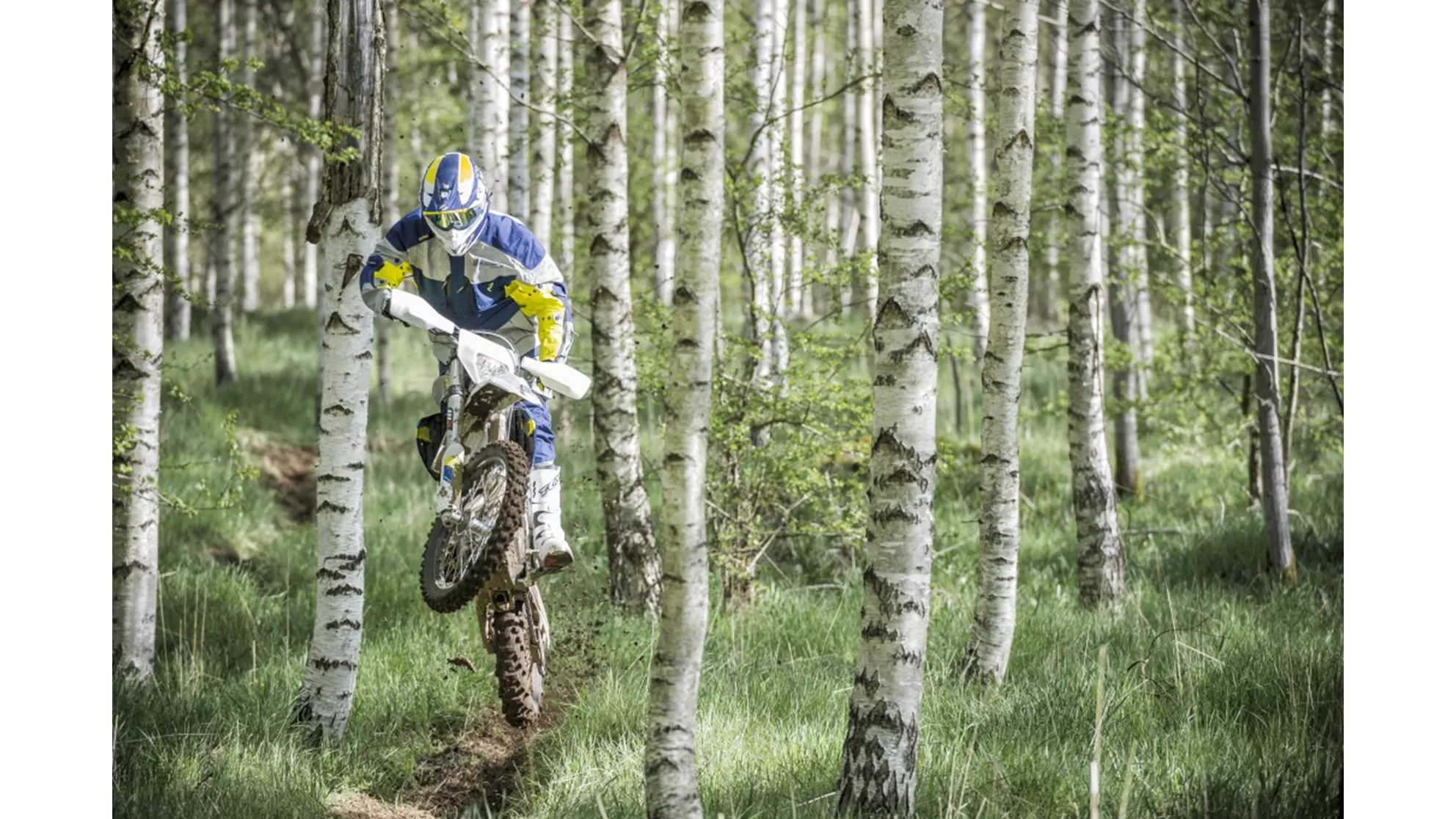 Husqvarna FE 450 - Image 8 Husqvarna FE 450 - Image 8