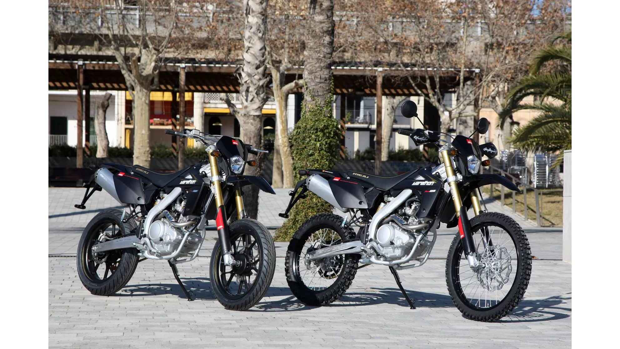 Rieju Marathon 125 Supermoto - Image 11 Rieju Marathon 125 Supermoto - Image 11