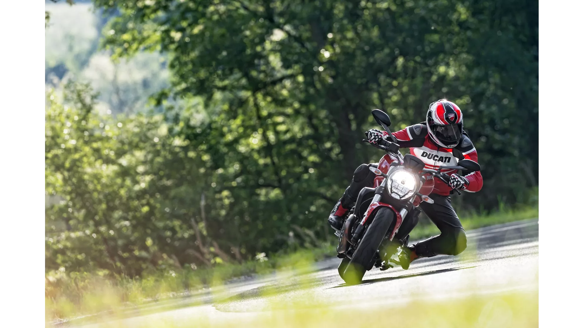 Ducati Monster 821 - Image 7 Ducati Monster 821 - Image 7