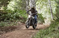 Ducati Scrambler Urban Enduro 2016 - Bild 10 Ducati Scrambler Urban Enduro 2016 - Bild 10